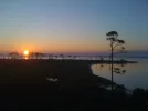 iphone 061..webp