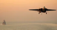 cat-landing.webp