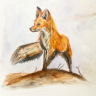 steelfoxtrot