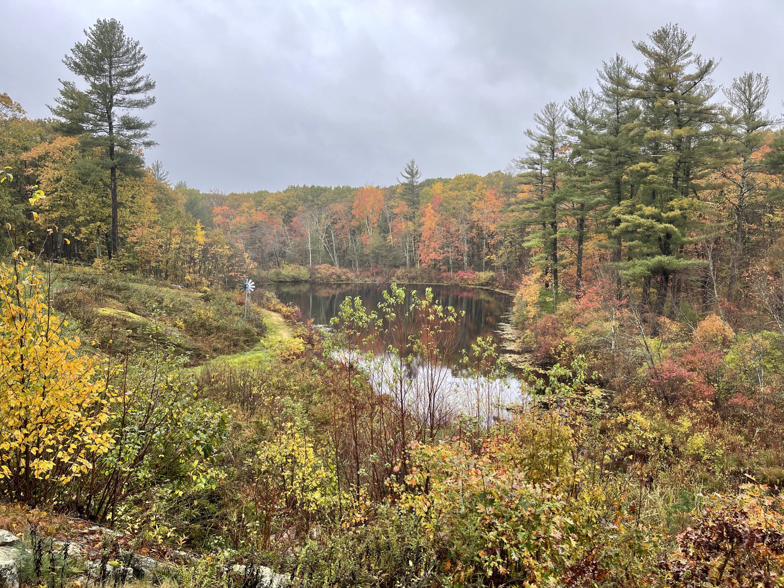 philip.greenspun.com