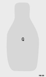FBIQ(REV).gif