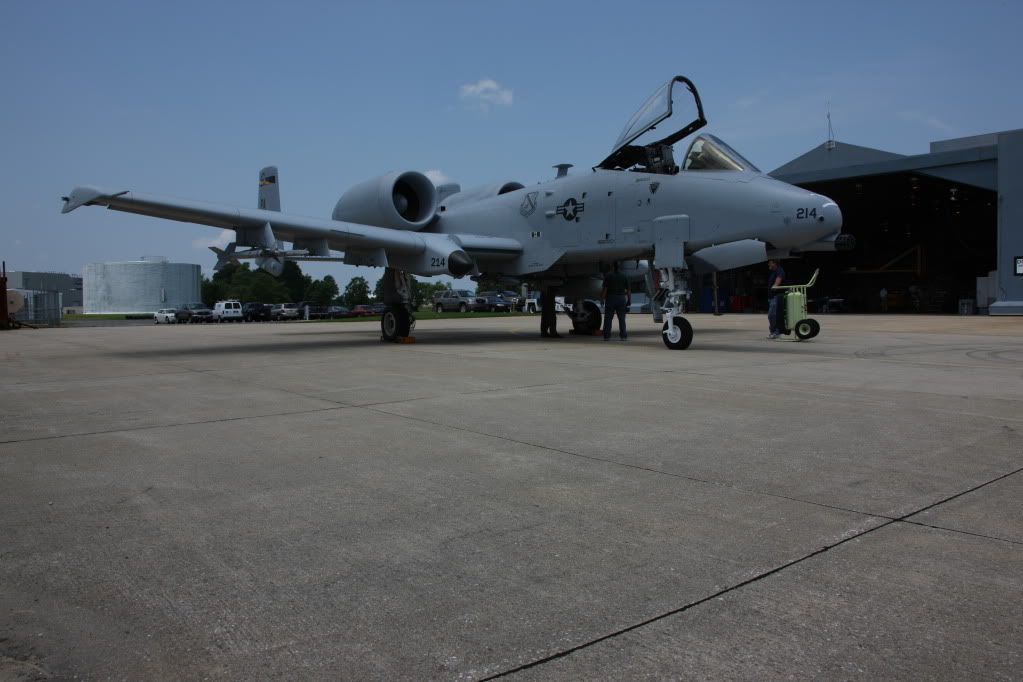 5L7P9544.jpg