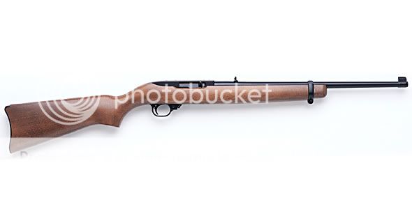 ruger_1022rb.jpg