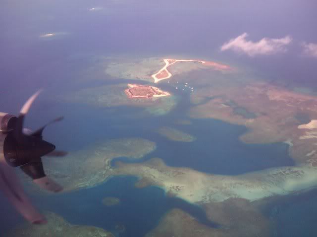 IMAG0019.jpg