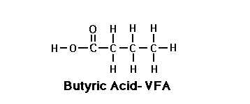 ButyricAcid2.jpg