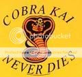 Cobra20Kai20Kobre20Kim20Above20the2.jpg