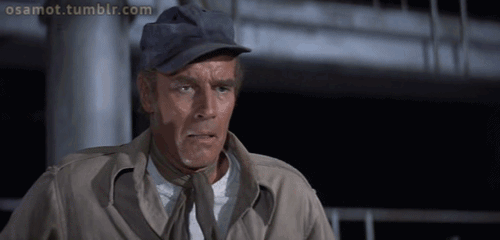 31085ceabf0f5ddedb01237d625bd6cd.gif