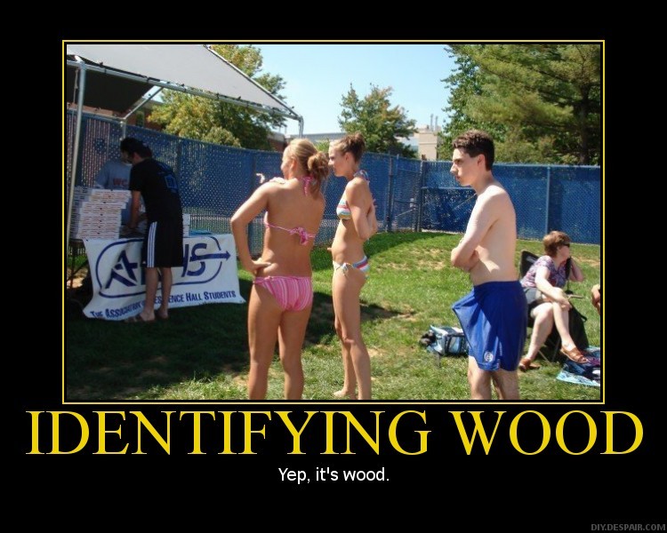 wood_911.jpg