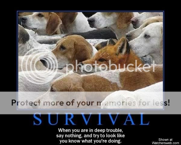 survival-motivational-poster-fox-with-hounds-when-1.jpg