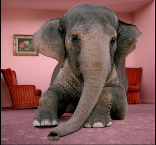 elephant-in-room.jpg